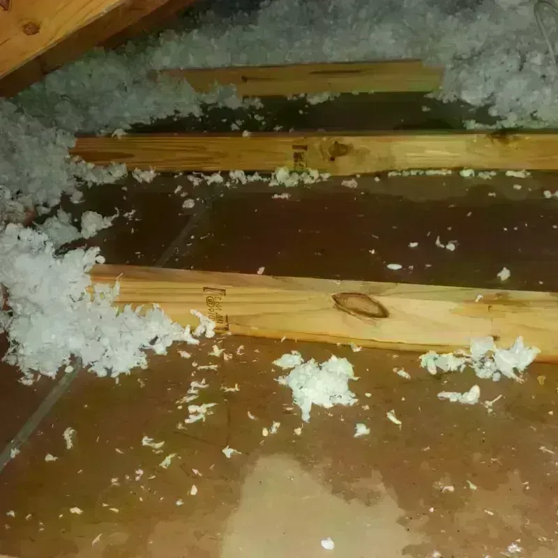 Attic Water Damage in Lavonia, GA