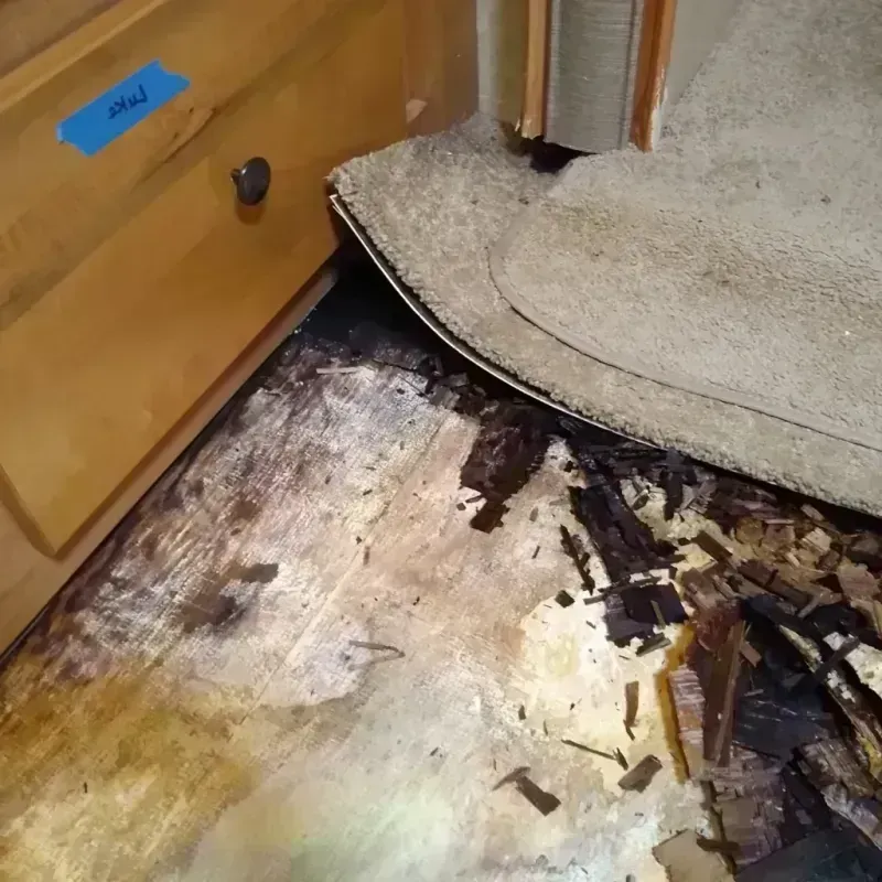 Wood Floor Water Damage in Lavonia, GA